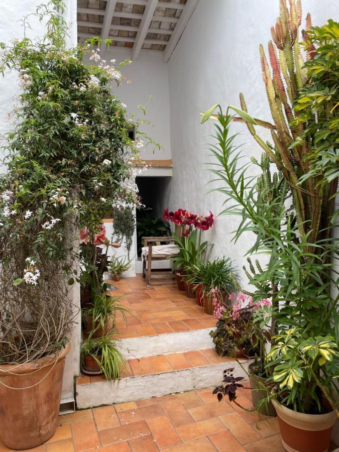 Casa Dulce Villa Vejer de la Frontera Eksteriør billede